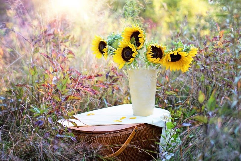 Fairy Garden