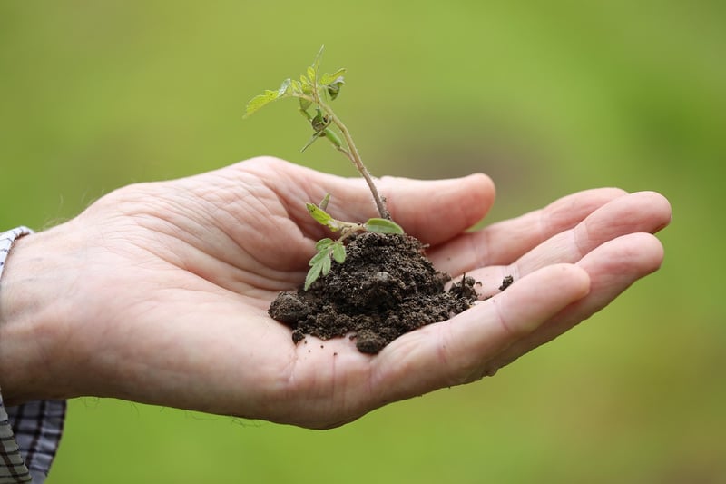 Gardening